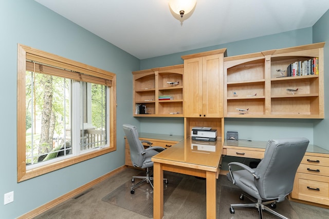 2292 Teakwood Ln SW, Rochester, MN 55902 - office with baseboards, built in desk, and carpet floors