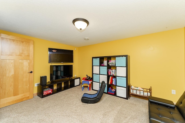 2292 Teakwood Ln SW, Rochester, MN 55902 - playroom with carpet and baseboards