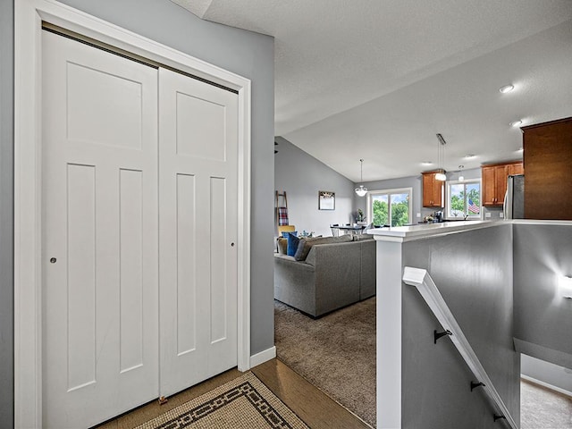 1308 Timber Ln, Buffalo, MN 55313 - interior space with lofted ceiling and dark wood-style flooring