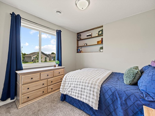 1308 Timber Ln, Buffalo, MN 55313 - view of carpeted bedroom