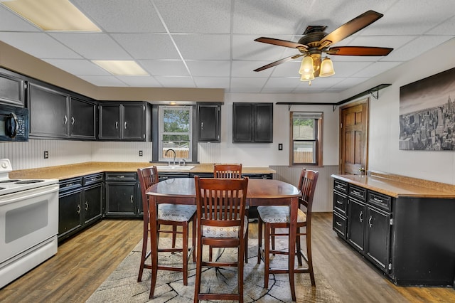 607 23rd Ave N, Saint Cloud, MN 56303 - kitchen featuring electric stove, dark cabinets, black microwave, light wood-style flooring, and a paneled ceiling