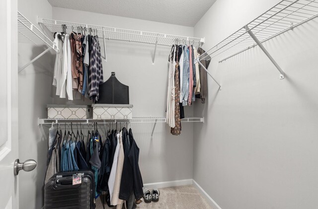 5322 94th Ln N, Brooklyn Park, MN 55443 - walk in closet featuring carpet