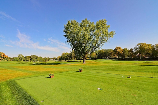 5620 Woodcrest Dr, Edina, MN 55424 - view of property's community with view of golf course, a lawn, and view of scattered trees