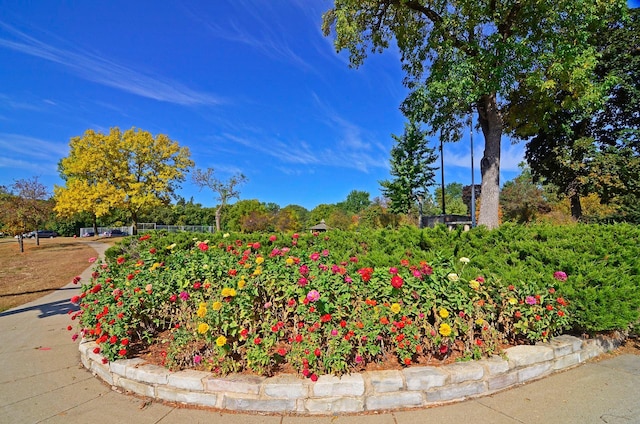 5620 Woodcrest Dr, Edina, MN 55424 - view of community
