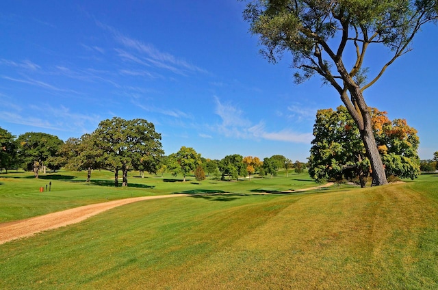 5620 Woodcrest Dr, Edina, MN 55424 - view of home's community featuring golf course view, a lawn, and view of scattered trees
