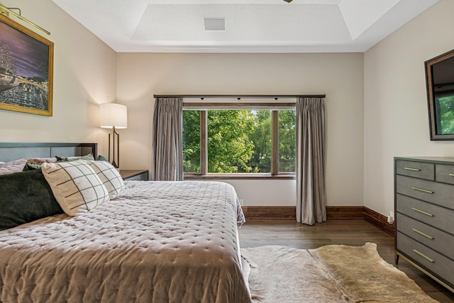 11883 Flanders Cir NE, Blaine, MN 55449 - bedroom with a tray ceiling and wood finished floors