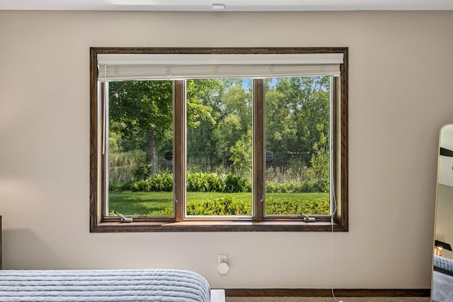 11883 Flanders Cir NE, Blaine, MN 55449 - view of bedroom