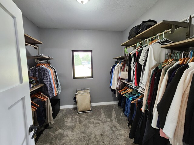 26575 US-71, Arago Twp, MN 56470 - walk in closet featuring carpet