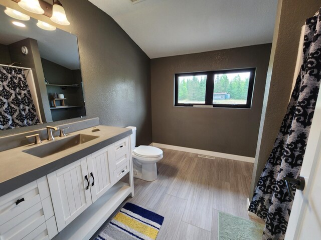 26575 US-71, Arago Twp, MN 56470 - bathroom featuring a textured wall, toilet, vanity, lofted ceiling, and a shower with shower curtain