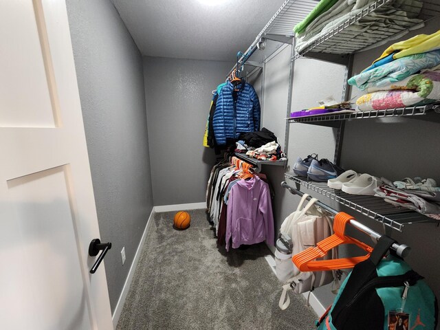 26575 US-71, Arago Twp, MN 56470 - walk in closet featuring carpet