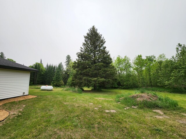 26575 US-71, Arago Twp, MN 56470 - view of green lawn