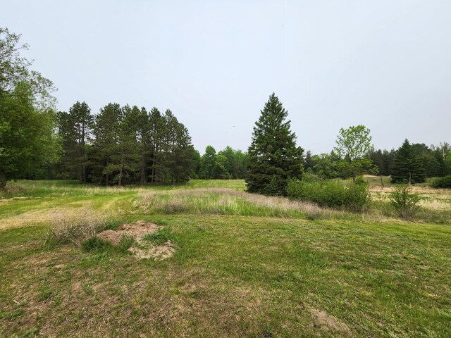 26575 US-71, Arago Twp, MN 56470 - view of yard with a forest view