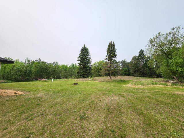 26575 US-71, Arago Twp, MN 56470 - view of grassy yard