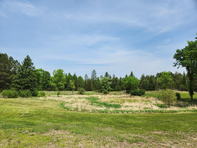 26575 US-71, Arago Twp, MN 56470 - view of undeveloped land