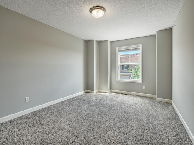 1211 Lower 143rd St E, Rosemount, MN 55068 - carpeted spare room featuring a textured ceiling and baseboards