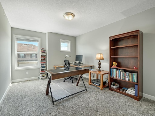 1211 Lower 143rd St E, Rosemount, MN 55068 - office featuring carpet floors, baseboards, and a textured ceiling