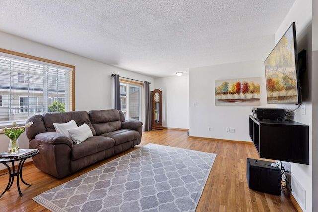 2517 Cobble Hill Ct Unit I, Woodbury, MN 55125 - living room featuring wood finished floors, a textured ceiling, and baseboards