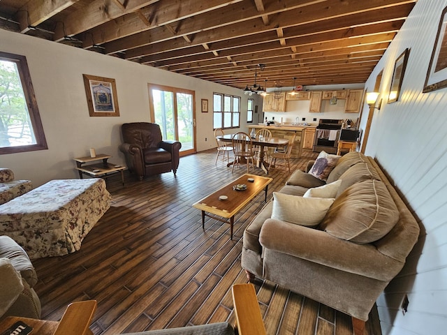 24429 Camp Lake Rd, Garrison, MN 56401 - living room with dark wood-type flooring