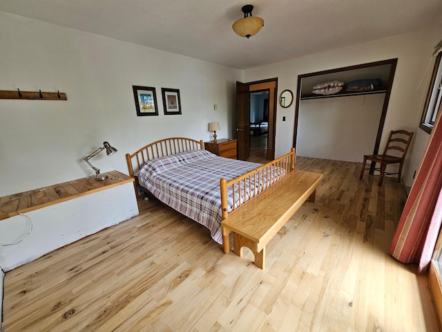 24429 Camp Lake Rd, Garrison, MN 56401 - bedroom featuring wood finished floors and a closet