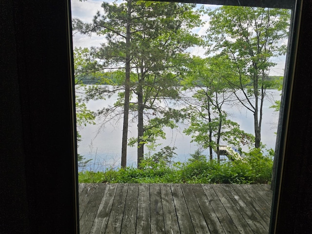 24429 Camp Lake Rd, Garrison, MN 56401 - water view