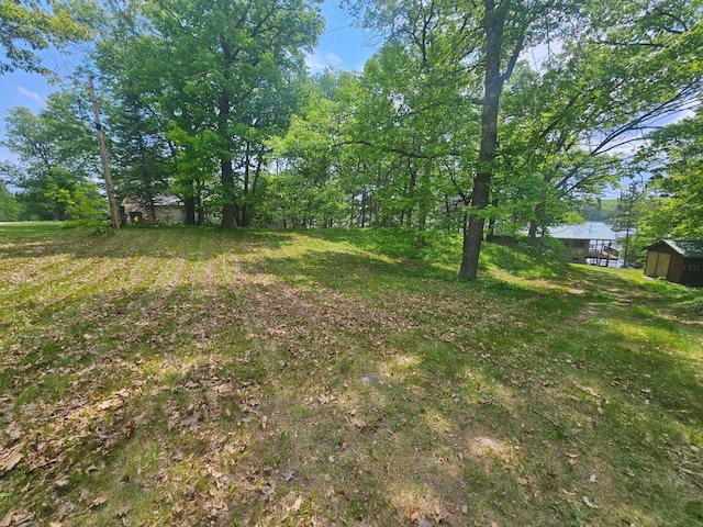 24429 Camp Lake Rd, Garrison, MN 56401 - view of yard