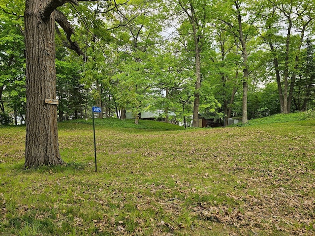24429 Camp Lake Rd, Garrison, MN 56401 - view of green lawn