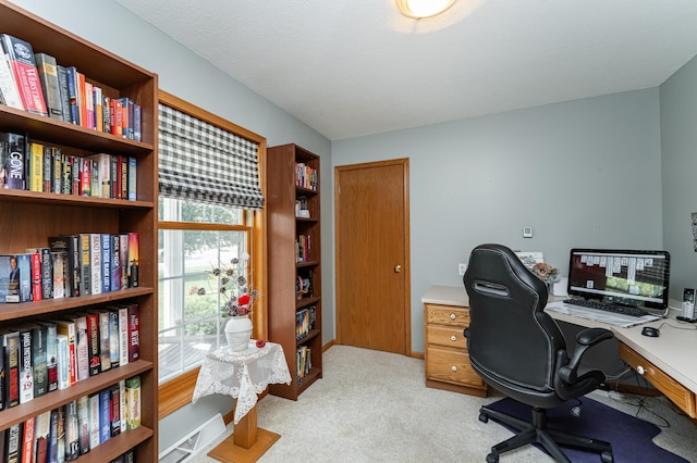 1218 6th St NW, Dodge Center, MN 55927 - office space featuring light carpet