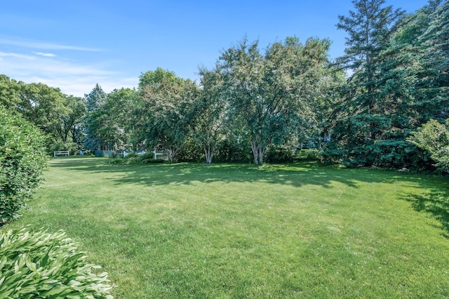1902 Duck Pond Dr W, Saint Paul, MN 55118 - view of grassy yard