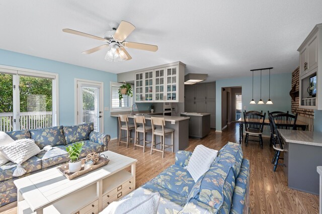 1902 Duck Pond Dr W, Saint Paul, MN 55118 - living room with wood finished floors and ceiling fan