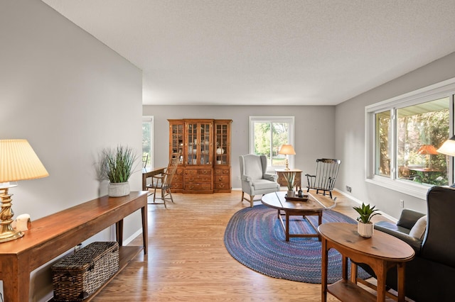 1902 Duck Pond Dr W, Saint Paul, MN 55118 - living area featuring light wood finished floors and baseboards