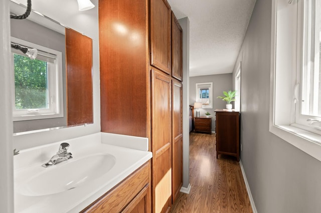 1902 Duck Pond Dr W, Saint Paul, MN 55118 - bathroom with wood finished floors, vanity, and a textured ceiling