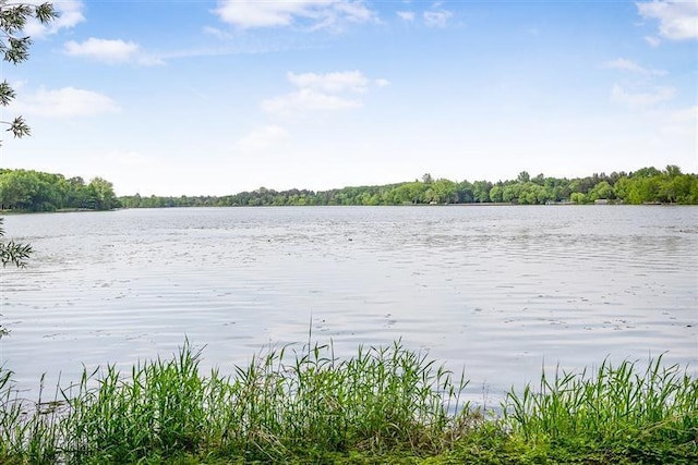 8700 Lakewood Shore Rd NW, Rice, MN 56367 - photo 42