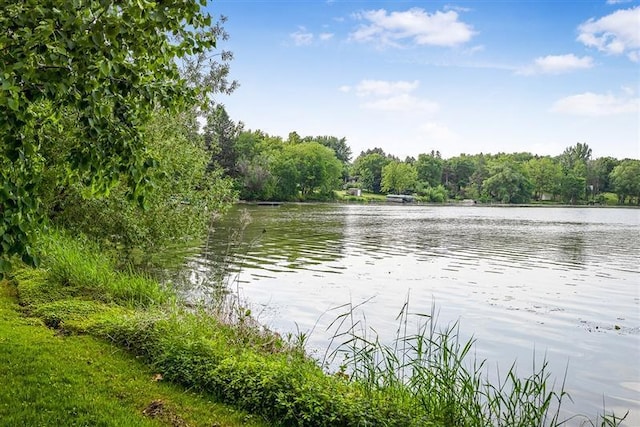 8700 Lakewood Shore Rd NW, Rice, MN 56367 - photo 43