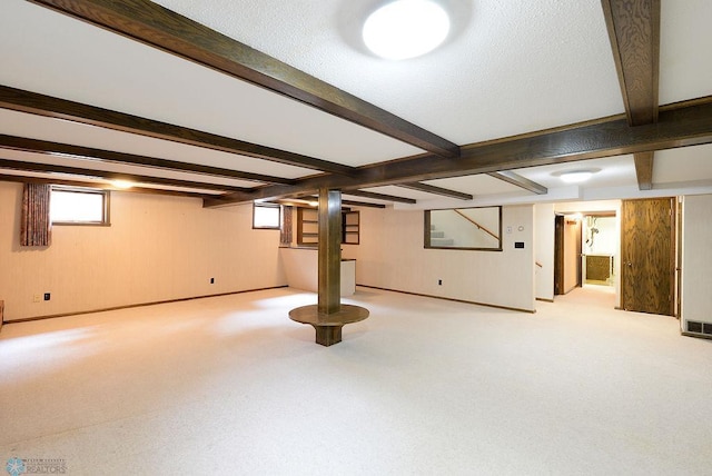 507 24th Ave S, Fargo, ND 58103 - below grade area with plenty of natural light and carpet flooring