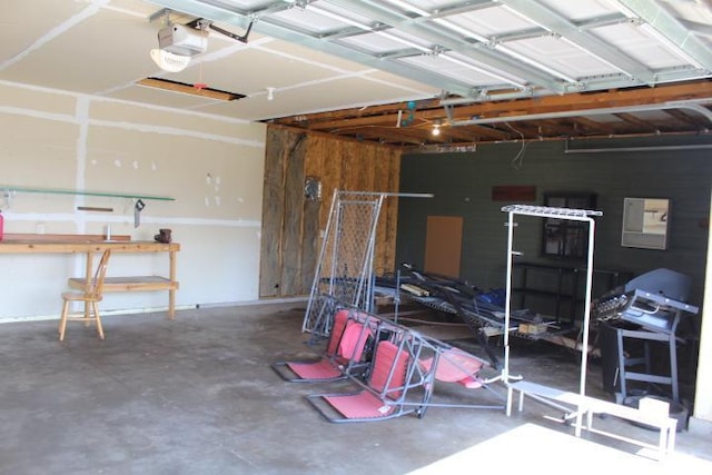 1027 Taft St S, Cambridge, MN 55008 - garage with a garage door opener and a workshop area