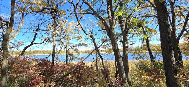 PARCELTBD 250th St, Mahnomen, MN 56557