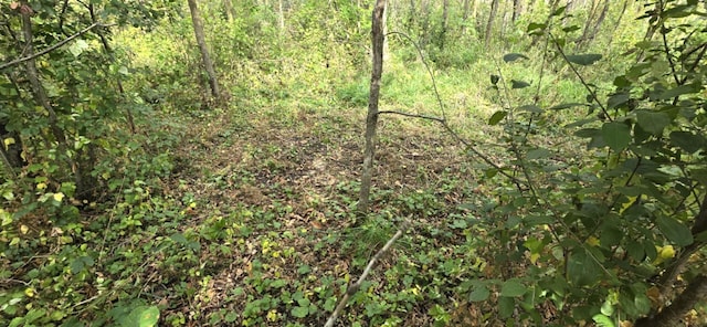 PARCELTBD 250th St, Mahnomen, MN 56557