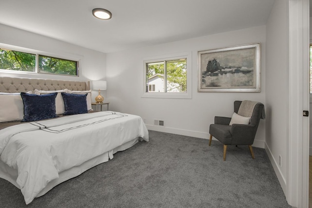 2307 Sherwood Cir, Bloomington, MN 55431 - bedroom featuring multiple windows, carpet flooring, and baseboards