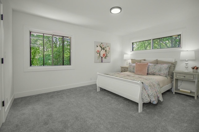 2307 Sherwood Cir, Bloomington, MN 55431 - bedroom with carpet and baseboards