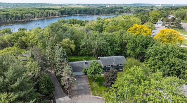 2307 Sherwood Cir, Bloomington, MN 55431 - bird's eye view of a forest and a nearby body of water