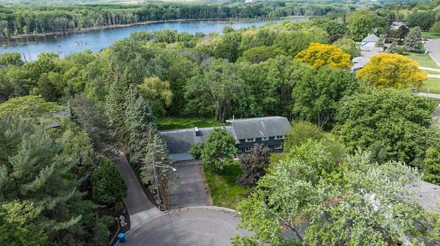 2307 Sherwood Cir, Bloomington, MN 55431 - aerial view of a large body of water and a forest