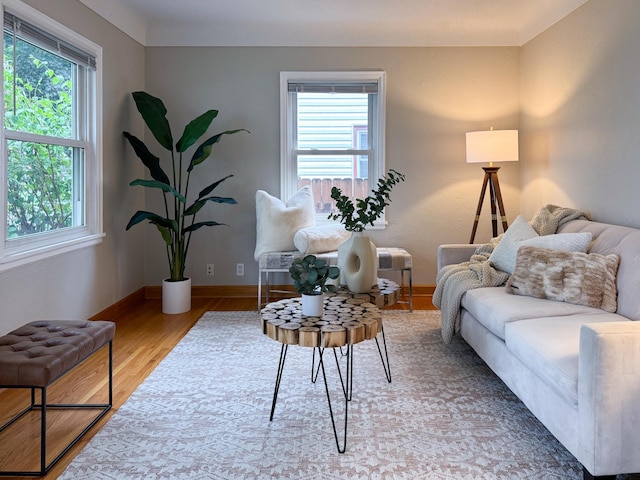 1759 Arlington Ave E, Saint Paul, MN 55106 - living room featuring healthy amount of natural light, light wood-style floors, and baseboards