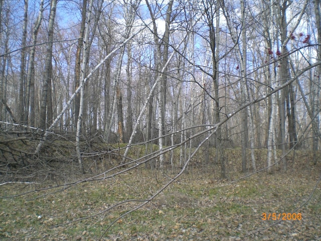 LOT211 Catskill Cir, Breezy Point, MN 56472 - photo 1