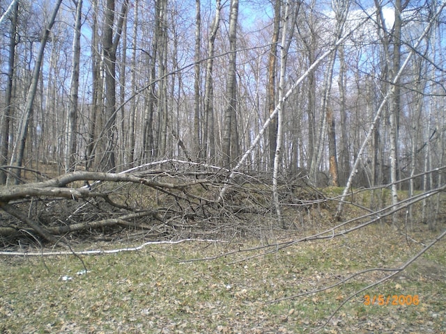 LOT211 Catskill Cir, Breezy Point, MN 56472 - photo 2