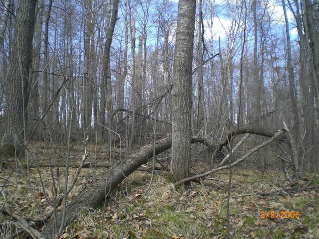 LOT211 Catskill Cir, Breezy Point, MN 56472 - photo 3