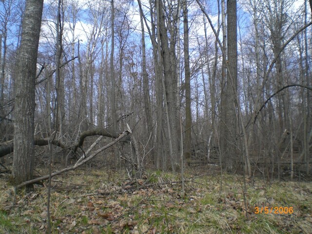 LOT211 Catskill Cir, Breezy Point, MN 56472 - photo 4