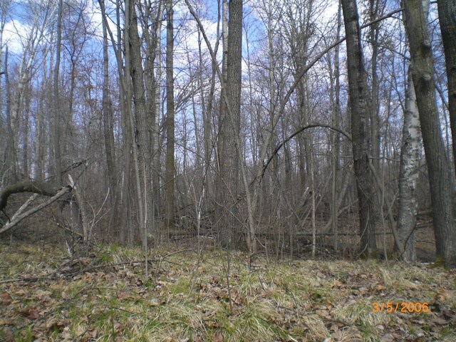 LOT211 Catskill Cir, Breezy Point, MN 56472 - photo 5