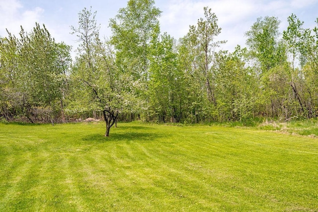 315 Pleasant View Rd, Duluth, MN 55803 - view of grassy yard