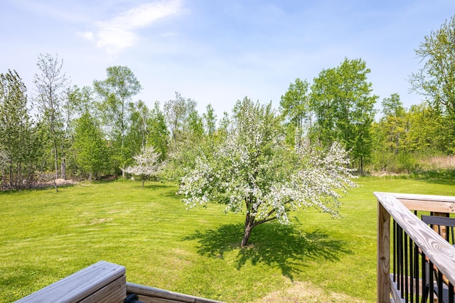 315 Pleasant View Rd, Duluth, MN 55803 - view of grassy yard