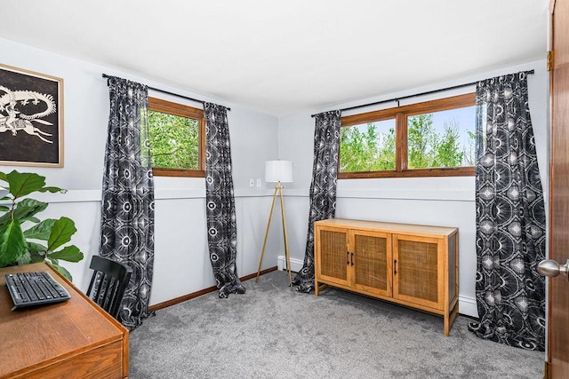 315 Pleasant View Rd, Duluth, MN 55803 - office area with carpet floors, baseboards, and a baseboard heating unit